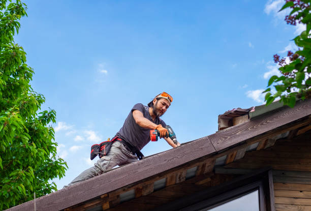 Best Metal Roofing Installation  in Weyers Cave, VA