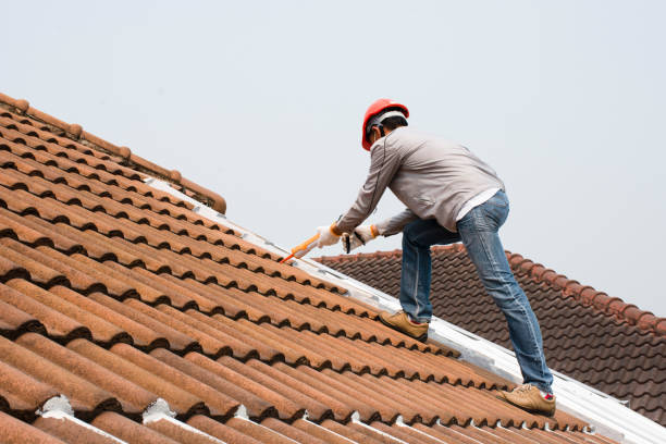 Best Rubber Roofing (EPDM, TPO)  in Weyers Cave, VA