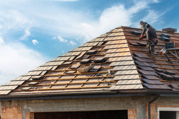 Best Roof Moss and Algae Removal  in Weyers Cave, VA